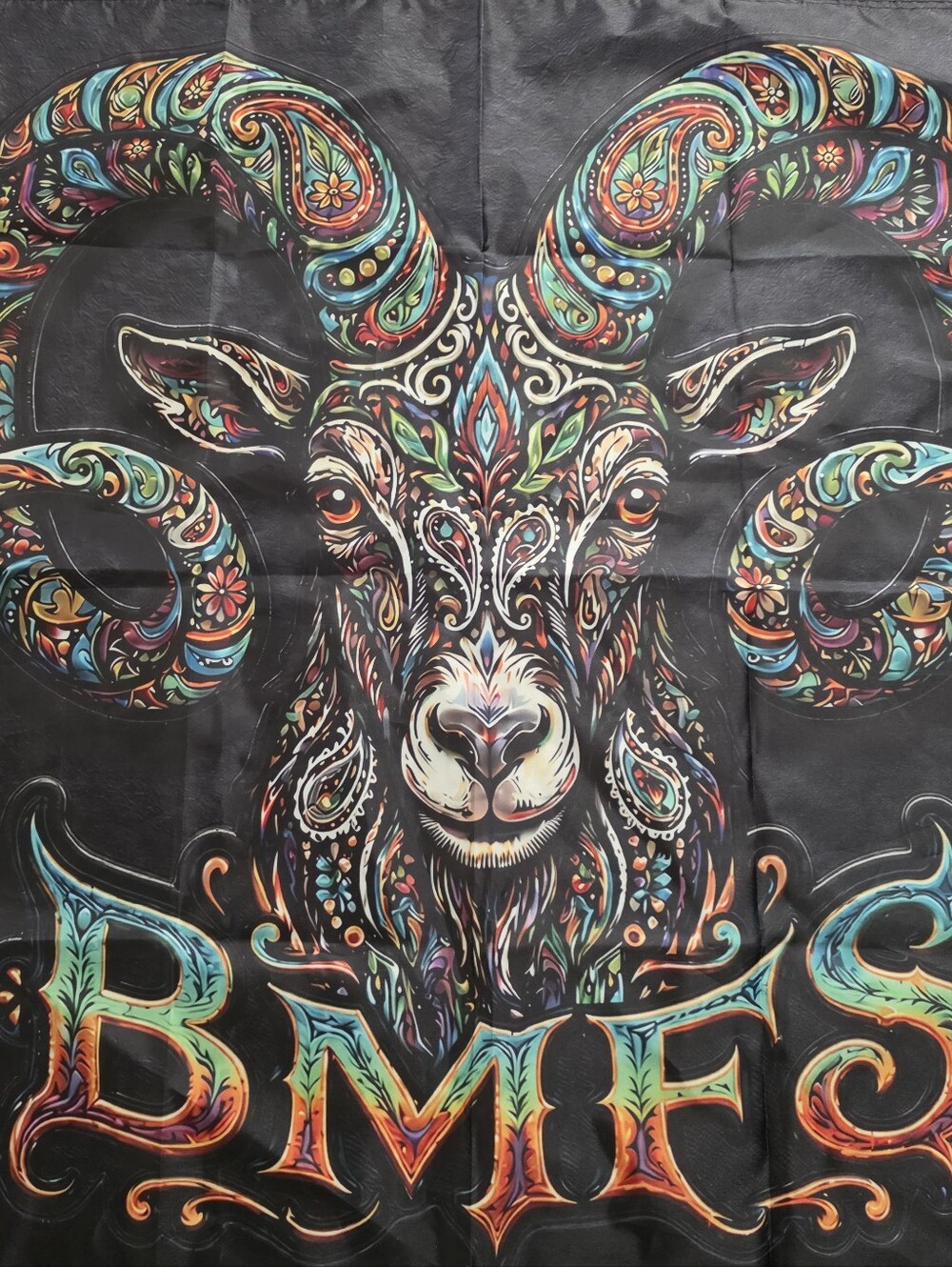 Billy Strings Flag